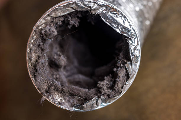 Best Best Air Duct Cleaning Near Me  in Troy, NC
